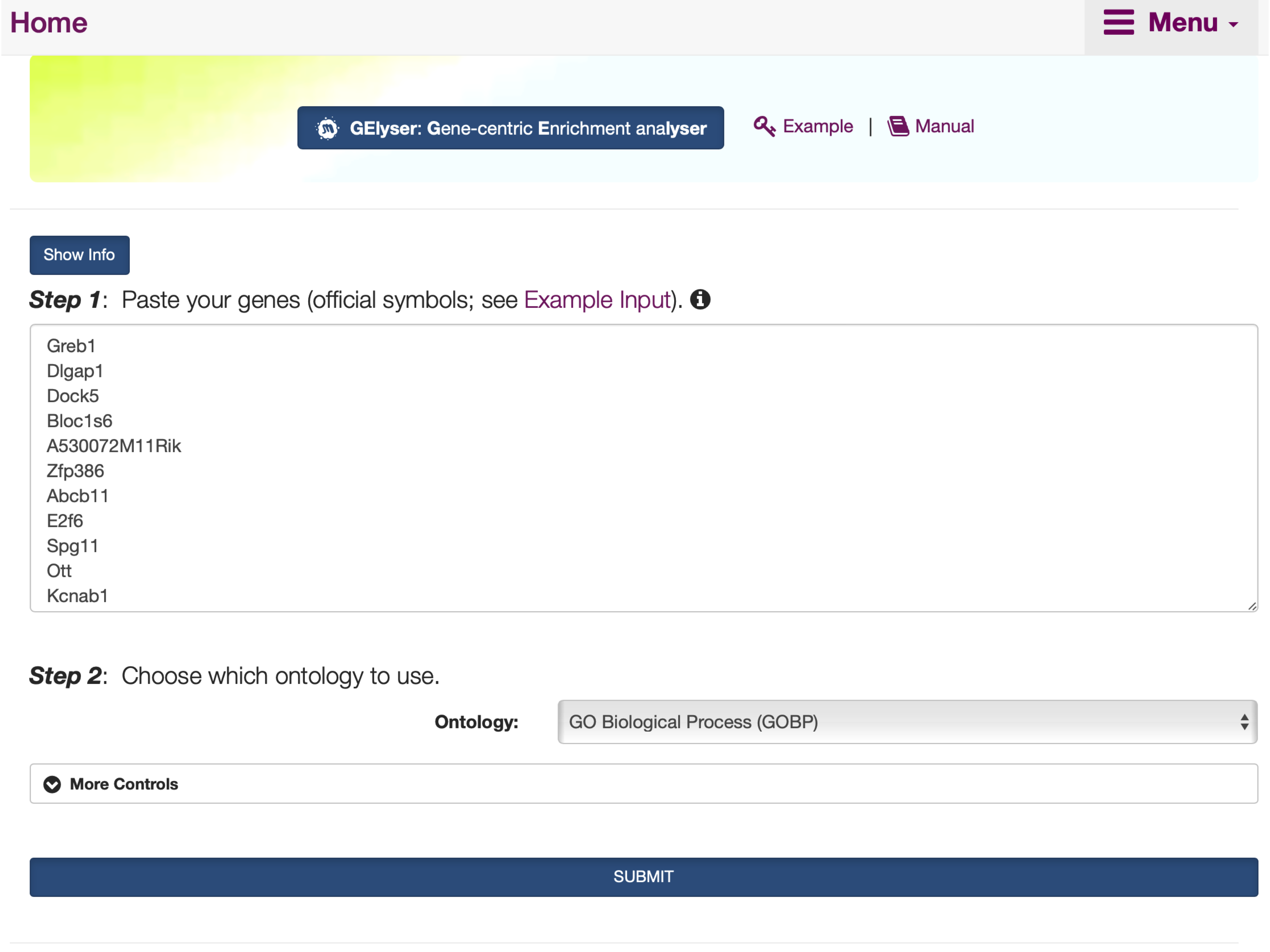 The interface of `GElyser`, including the `Show/Hide Info` toggle button that contains the help information on inputs, outputs, and other information.